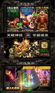 超变单职业变态版图3