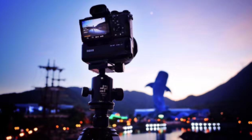 蘑菇视频app最新版合集